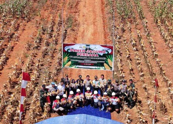 Foto bersama pascapanen perdana jagung di Kecamatan Mentaya Hulu.