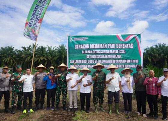 Gerakan Menanam Padi Serentak di Lokasi Cetak Sawah Rakyat di Kecamatan Mentaya Hilir Utara, Kabupaten Kotim, Rabu, 28 Mei 2025.