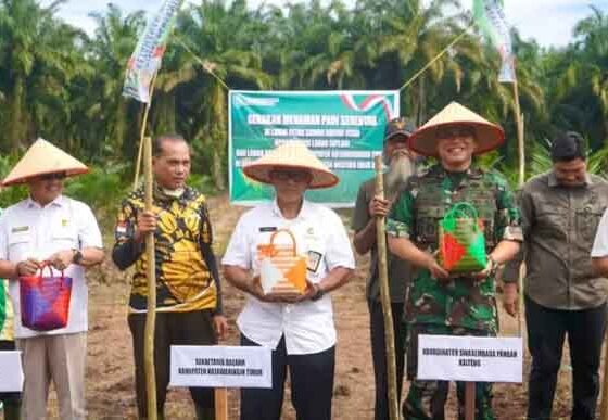 Gerakan menanam padi serentak di kecamatan Mentaya Hilir Utara, Kotim beberapa waktu lalu.