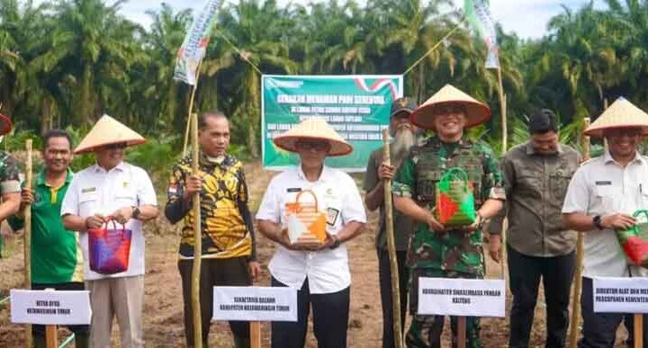 Gerakan menanam padi serentak di kecamatan Mentaya Hilir Utara, Kotim beberapa waktu lalu.