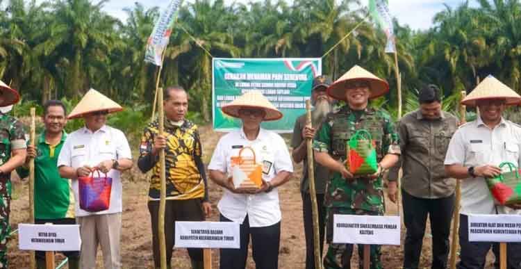 Kotim Optimalisasi Lahan Tadah Hujan Lewat Gerakan Tanam Serentak