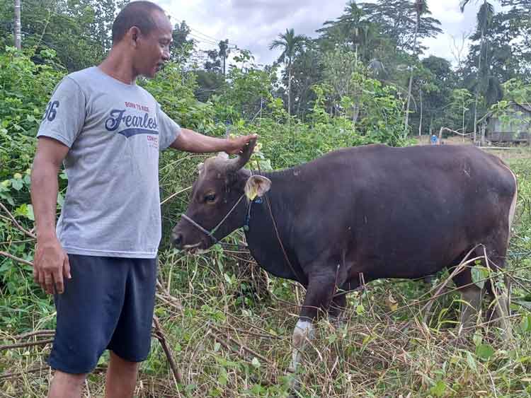 Pemkab Kotim Kerahkan Tim Medis Hewan untuk Jamin Kurban Sehat dan Halal