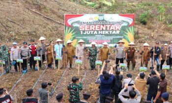 Pj Bupati Murung Raya Forkopimda Dukung Penanaman Jagung Serentak 1 Juta Hektare
