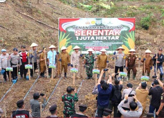 Pj Bupati Murung Raya Forkopimda Dukung Penanaman Jagung Serentak 1 Juta Hektare