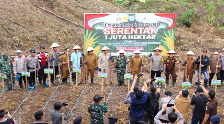 Pj Bupati Murung Raya Forkopimda Dukung Penanaman Jagung Serentak 1 Juta Hektare