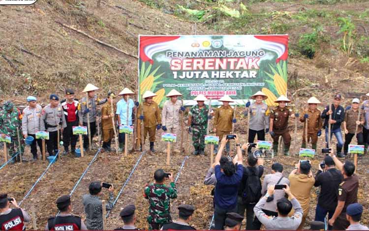 Pj Bupati Murung Raya-Forkopimda Dukung Penanaman Jagung Serentak 1 Juta Hektare