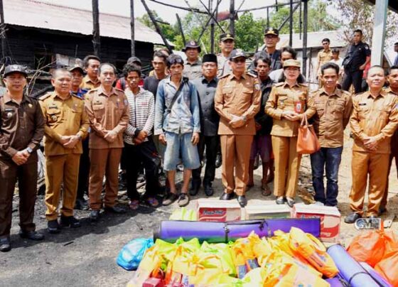 Pj Bupati Murung Raya Tinjau Lokasi Kebakaran di Muara Jaan, Salurkan Bantuan untuk Korban