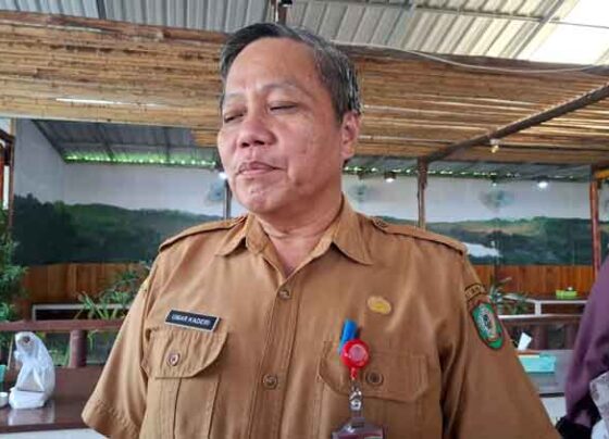 Plt Kepala DP3AP2KB Kotim Umar Kaderi.