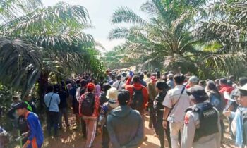 Ratusan warga Desa Camba, Kecamatan Kota Besi, Kabupaten Kotawaringin Timur (Kotim), melakukan aksi demonstrasi di kebun sawit PT Nusantara Sawit Persada (PT NSP) , Rabu siang, 14 Mei 2025.