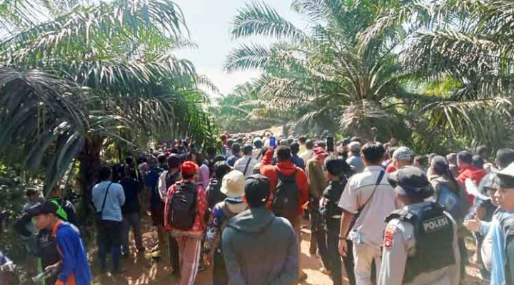 Ratusan warga Desa Camba, Kecamatan Kota Besi, Kabupaten Kotawaringin Timur (Kotim), melakukan aksi demonstrasi di kebun sawit PT Nusantara Sawit Persada (PT NSP) , Rabu siang, 14 Mei 2025.
