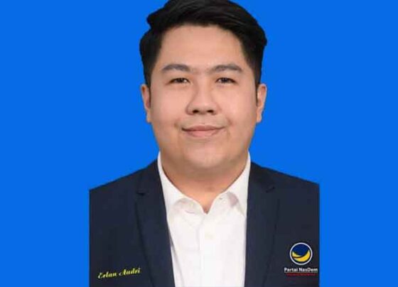 Anggota DPRD Palangka Raya dari Fraksi NasDem, Erlan Audri