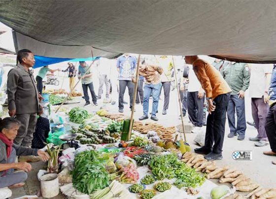 Bupati Murung Raya (Mura), Heriyus, memantau harga bahan pokok di Pasar Pelita Hilir, Kota Puruk Cahu, Jumat, 13 Juni 2025.