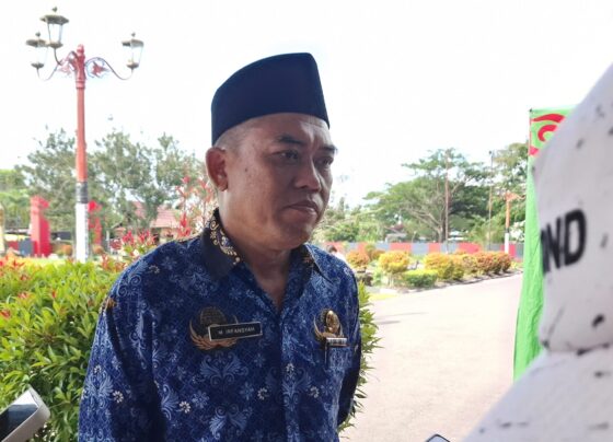 M Irfansyah