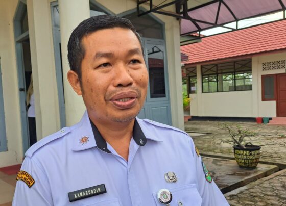 Kepala BKPSDM Kotim, Kamaruddin Makkalepu.