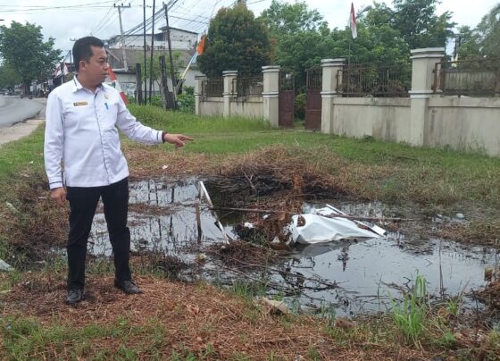 Ketua DPRD Rimbun