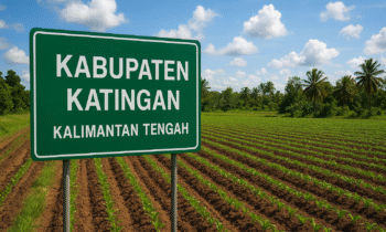 Ilustrasi Pertanian Katingan