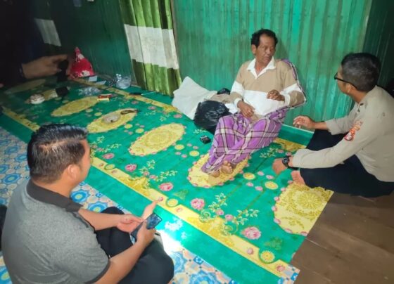 2278bc56 1477 42b5 9e7d dc0c313d975a.jpg