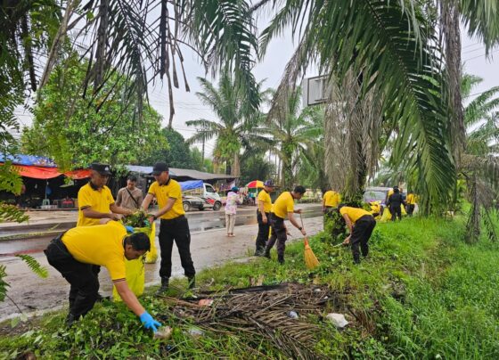 6a283520 88fc 4278 9bb3 136cdeb414ea.jpg