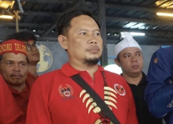 f52dc917 17e0 4a72 9cf0 144d94aed642 1.jpg