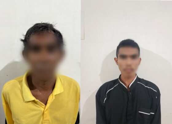 05a911a9 6f88 41d7 8484 d95a5ed0a4bb.jpg