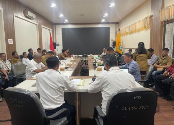 06e877d6 6aa3 4016 85b1 6e223eb0a700.jpg