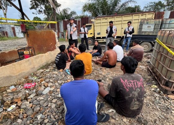 27c0d2e6 5454 4fcb 8e16 30337cf623bc.jpg