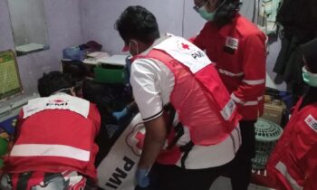 379fcb2c f226 4efa 8b01 3d444864d238.jpg