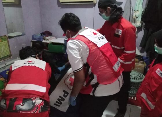 379fcb2c f226 4efa 8b01 3d444864d238.jpg