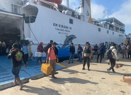 58b683cc 8163 4200 a867 a3278a6d728d.jpg