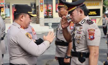 d3567f83 4148 4909 94f3 89b774d2ef7d.jpg