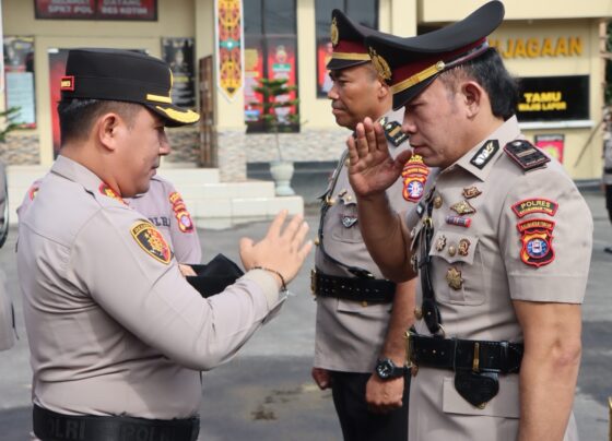 d3567f83 4148 4909 94f3 89b774d2ef7d.jpg