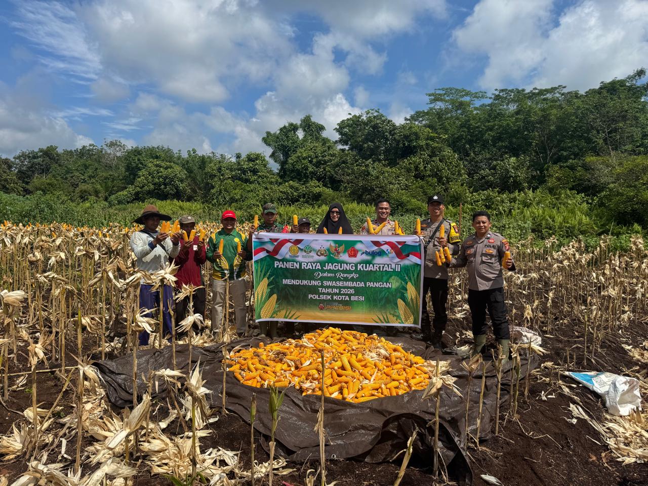 Polsek Kota Besi Panen Raya Jagung Pipil, Dukung Ketahanan Pangan Nasional