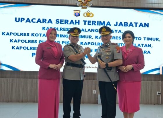 Screenshot 20260910 205128 WhatsApp