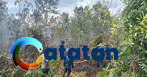 Dua Hektare Lahan Di Sampit Terbakar Diduga Disengaja Catatan Co Id